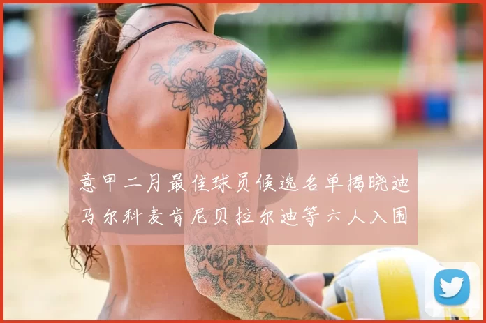意甲二月最佳球员候选名单揭晓迪马尔科麦肯尼贝拉尔迪等六人入围