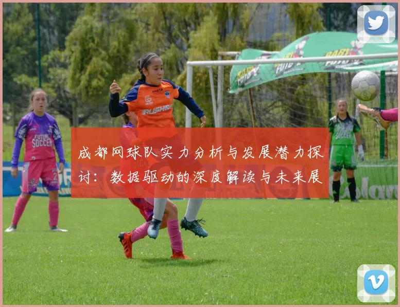 成都网球队实力分析与发展潜力探讨：数据驱动的深度解读与未来展望