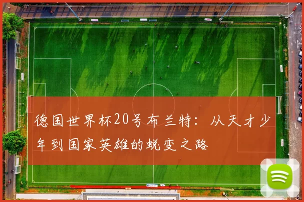 德国世界杯20号布兰特：从天才少年到国家英雄的蜕变之路