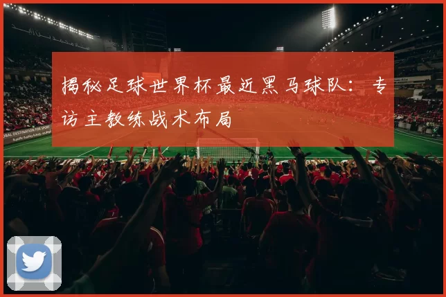 揭秘足球世界杯最近黑马球队：专访主教练战术布局