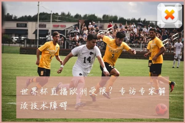 世界杯直播欧洲受限？专访专家解读技术障碍