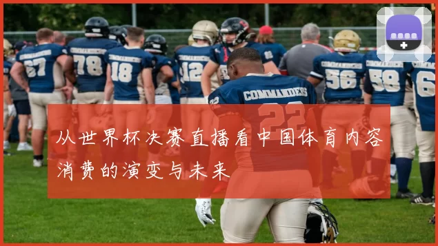 从世界杯决赛直播看中国体育内容消费的演变与未来