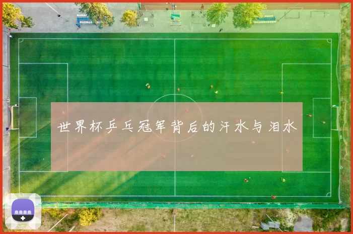 世界杯乒乓冠军背后的汗水与泪水