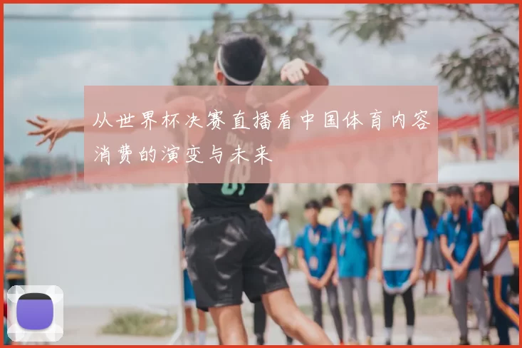 从世界杯决赛直播看中国体育内容消费的演变与未来